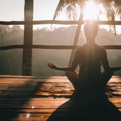 Wellness